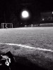 Foto partita