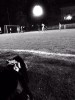 Foto partita